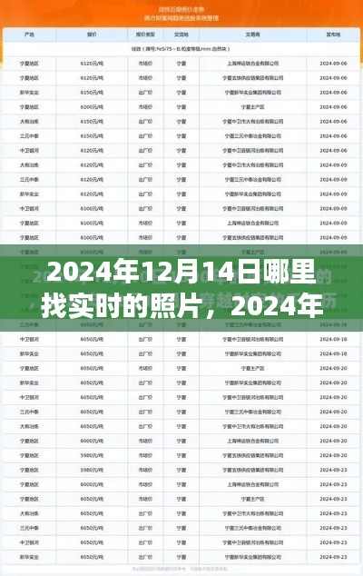 2024年12月14日实时照片获取指南，全面解析如何获取最新实时照片