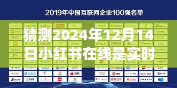 小红书实时脉动猜想，穿越数字浪潮，未来在线状态展望（2024年12月14日）