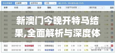 新澳门今晚开特马结果,全面解析与深度体验_W1.345