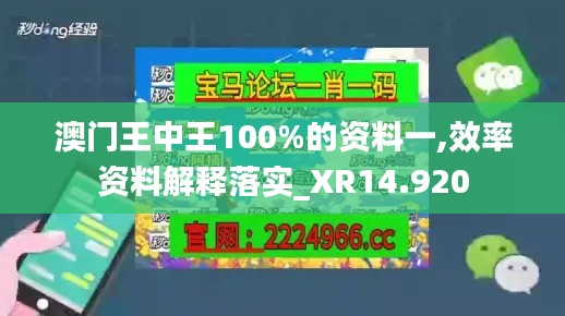 澳门王中王100%的资料一,效率资料解释落实_XR14.920