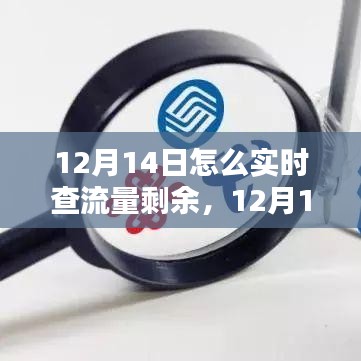 教你如何轻松实时查询流量剩余，详细步骤解析（12月14日版）