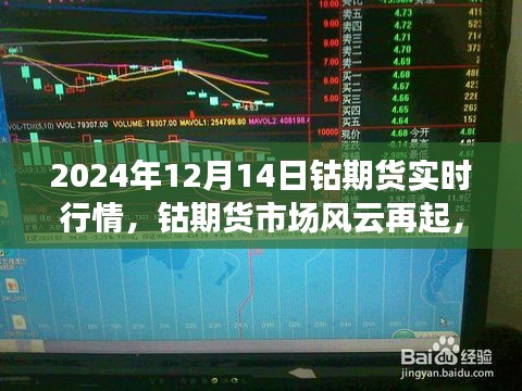 2024年12月14日钴期货实时行情深度解析，市场风云再起