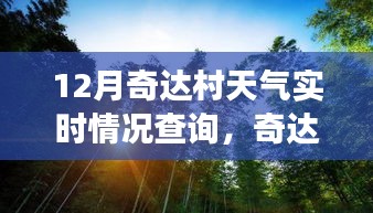 奇达村天气实时查询，暖阳下的日常故事与家的温馨