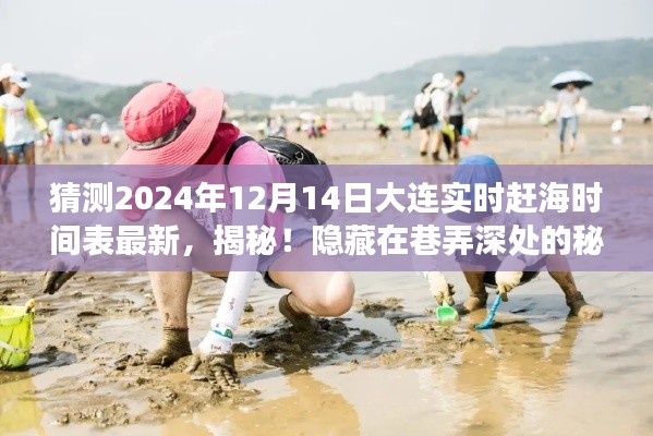 揭秘大连特色赶海时间表，巷弄深处的秘密之旅（最新预测2024年赶海时间表）