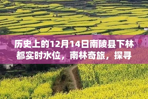 探寻南陵县下林都的水上秘境，历史上的水位揭秘与南林奇旅启程