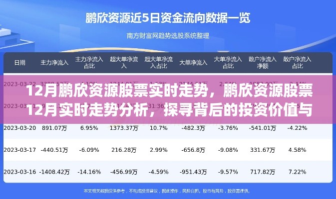 鹏欣资源股票12月实时走势解析，探寻投资价值与潜在风险