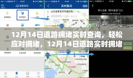 12月14日道路实时拥堵查询指南，轻松应对拥堵，详细步骤解析