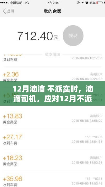 应对滴滴不派实时单的策略与步骤指南，滴滴司机如何应对12月挑战