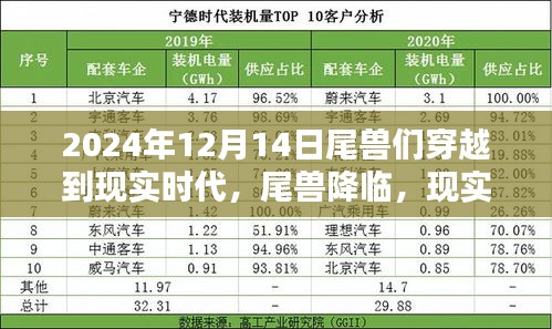 尾兽降临现实时代，神秘穿越之日至2024年12月14日