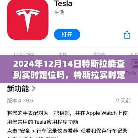 特斯拉实时定位功能深度体验与评测，2024年12月14日的对比分析及定位功能展望