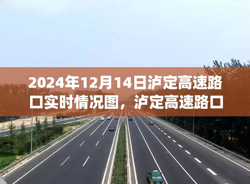 泸定高速路口的温馨小故事，爱的相遇与陪伴——实时情况图记录于2024年12月14日