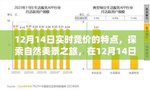 12月14日实时竞价探秘自然美景，寻找内心宁静的力量