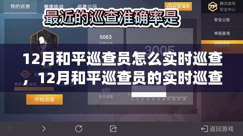 深度解析，12月和平巡查员的实时巡查策略与观点