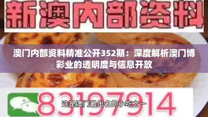 澳门内部资料精准公开352期：深度解析澳门博彩业的透明度与信息开放