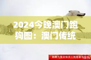 2024今晚澳门跑狗图：澳门传统赛犬文化的现代演绎