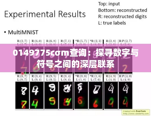 2024年12月17日 第10页