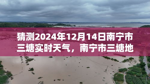 南宁市三塘地区2024年12月14日天气预测及实时天气猜测分析