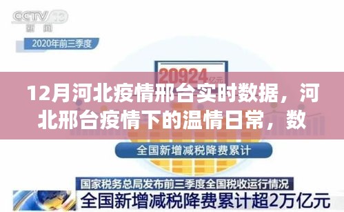 河北邢台疫情下的温情日常，实时数据与暖心故事