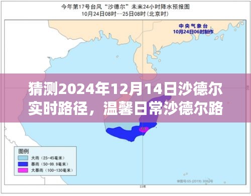 2024年12月17日 第2页