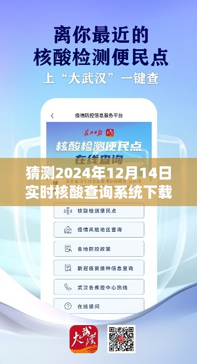 探秘小巷深处的核酸查询秘境，特色小店下载体验与未来实时核酸查询系统展望（2024年12月14日）
