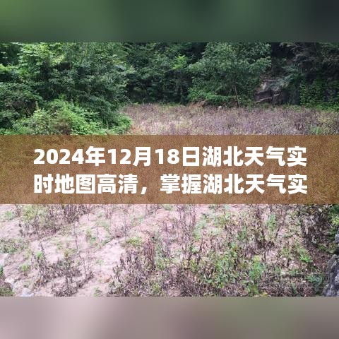 湖北天气实时地图高清版使用指南，从入门到精通（适用于初学者与进阶用户）