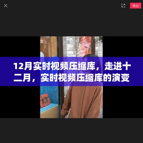 实时视频压缩库演变与影响，十二月深度解析