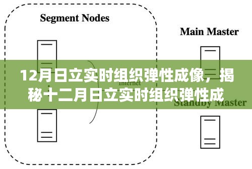 揭秘十二月日立实时组织弹性成像技术，医学探索之旅开启新篇章