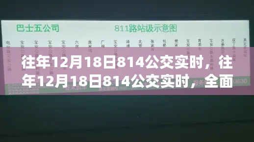 往年12月18日814公交实时数据与深度解析，全面评测报告