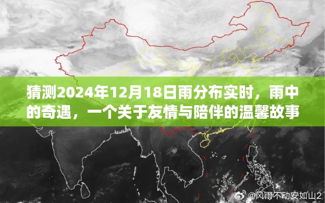 雨中之约，2024年12月18日实时雨分布与友情陪伴的温馨故事