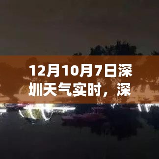 深圳冬日暖阳下的日常趣事与天气实时播报（12月10日）