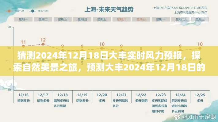 探索大丰自然美景之旅，预测2024年12月18日大丰实时风力预报的神秘之旅