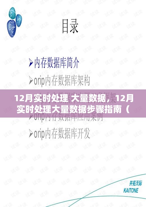 12月实时处理大量数据步骤详解，初学者与进阶用户必备指南