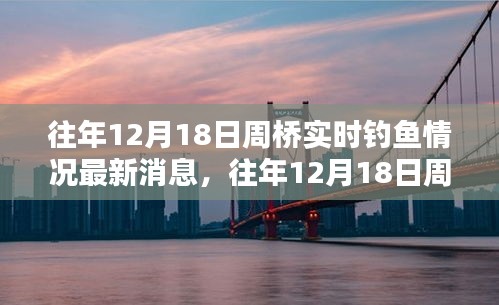 往年12月18日周桥垂钓盛况回顾与最新钓鱼情报发布