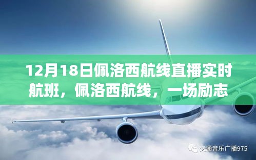 佩洛西航线，见证励志天空之旅与自信成就的力量