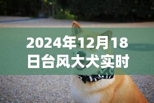 2024年12月21日 第20页