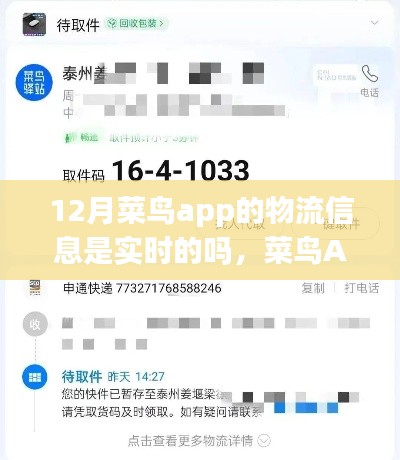 菜鸟APP 12月物流实时性深度解析，实时追踪还是有所延迟？