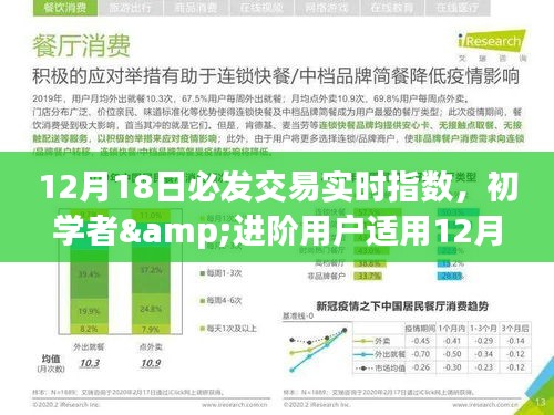 12月18日必发交易实时指数，初学者与进阶用户的操作指南