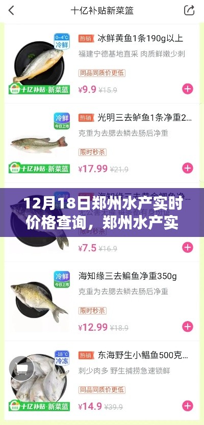 12月18日郑州水产实时价格查询指南，轻松掌握必备步骤，初学者也能轻松上手