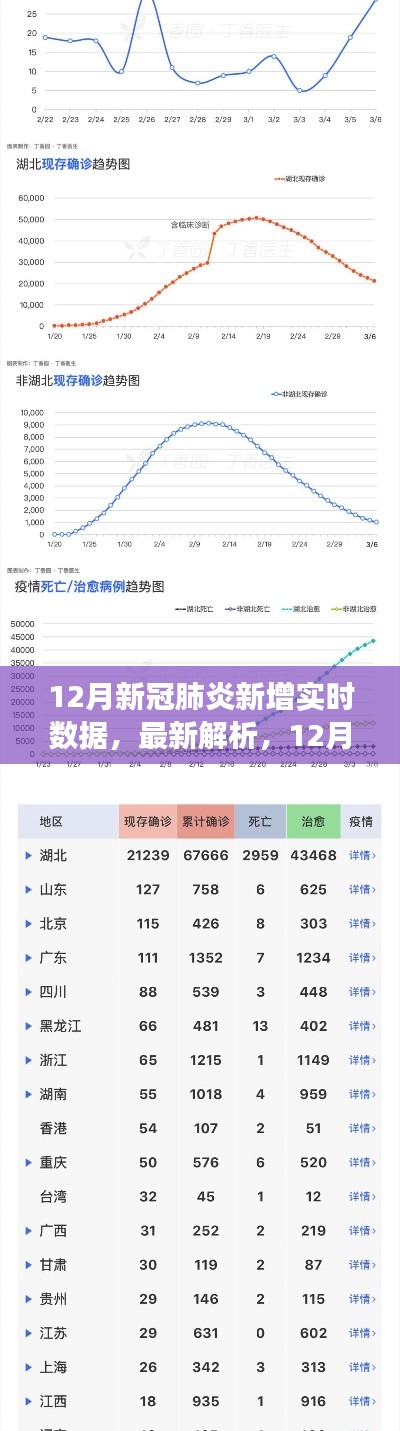 12月新冠肺炎实时数据深度解析，三大要点揭示最新趋势