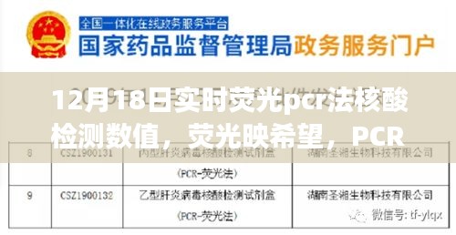 核酸检测背后的励志故事，荧光映希望，PCR见证成长，实时荧光PCR法核酸检测数值揭晓的奋斗篇章