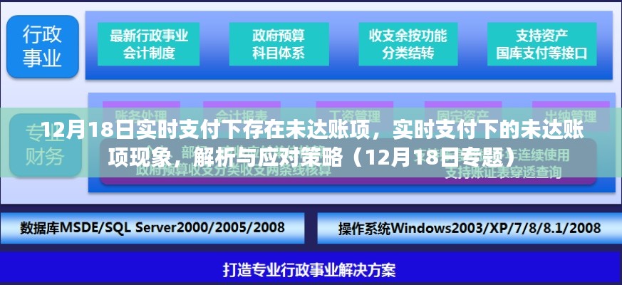 实时支付下的未达账项现象解析与应对策略（专题聚焦12月18日）