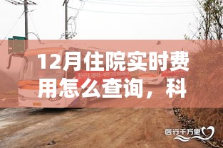 科技助力医疗查询，实时掌握住院费用动态，指尖一键查询12月住院费用