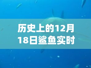 揭秘历史鲨鱼直播背后的故事，探寻十二月十八日鲨鱼实时观众数背后的秘密