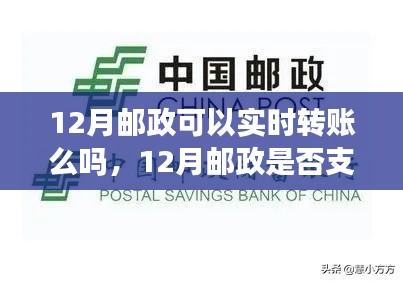 探讨，12月邮政是否支持实时转账功能？