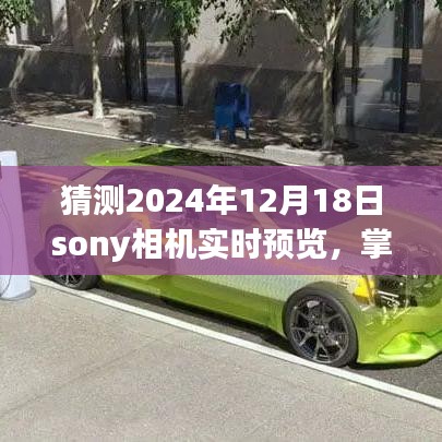 Sony相机未来展望，掌握实时预览功能，预测体验新纪元摄影技术（2024年预测）