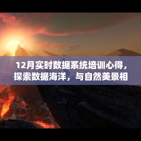 探索数据海洋，与自然美景相遇——我的十二月实时数据系统培训之旅心得分享