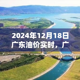 2024年12月18日广东油价实时走势及影响因素分析