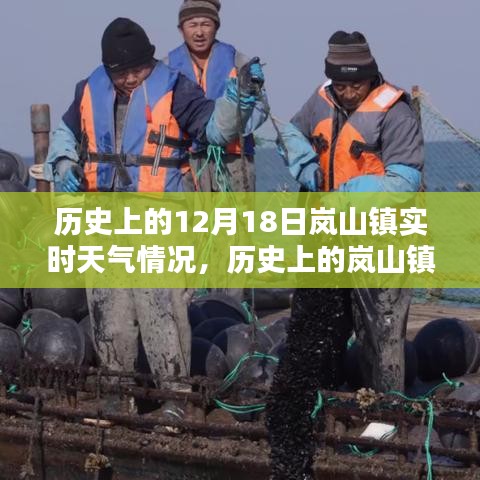 探寻岚山镇历史天气，十二月十八日的实时天气状况