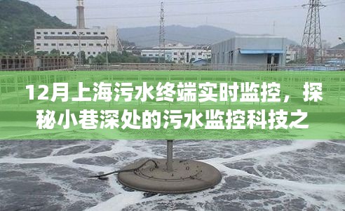 上海隐秘角落的污水终端实时监控之旅，探秘小巷深处的科技之旅