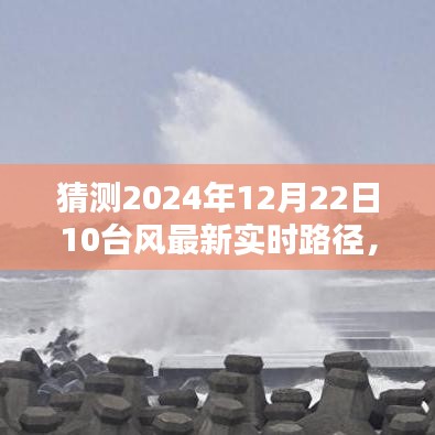 2024年12月22日第10号台风实时路径预测与分析